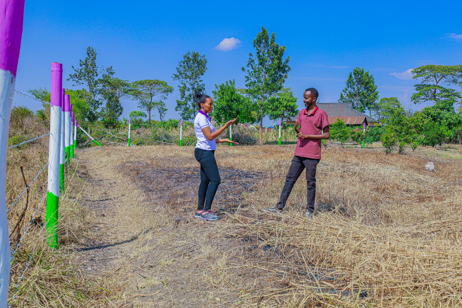 Plots for sale in Ruiru Kamakis